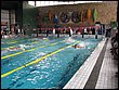 brno09_t-15.jpg