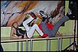 brno_10-102.jpg