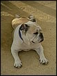 cadiz09_cas-42.jpg