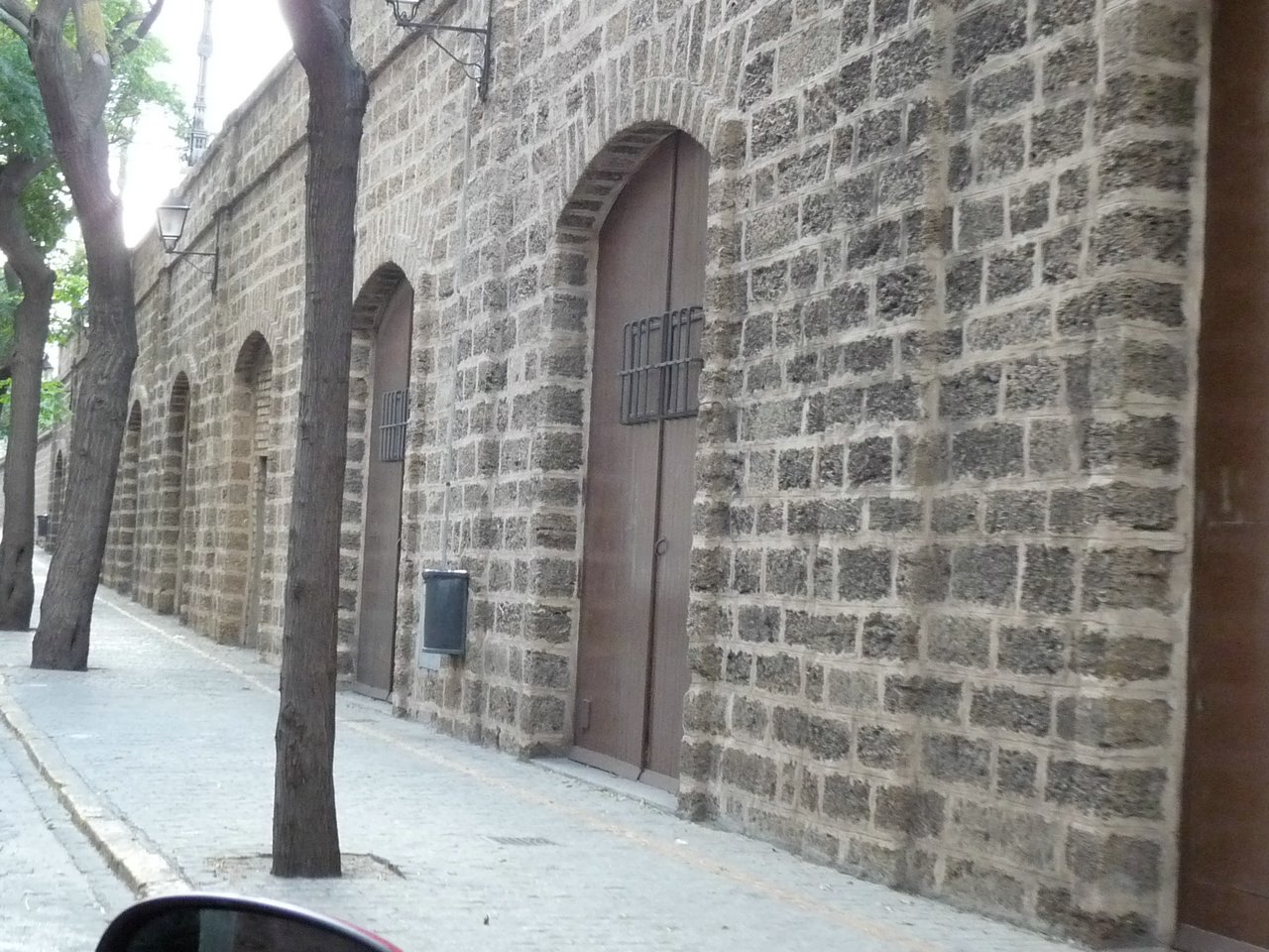 P1050066.JPG