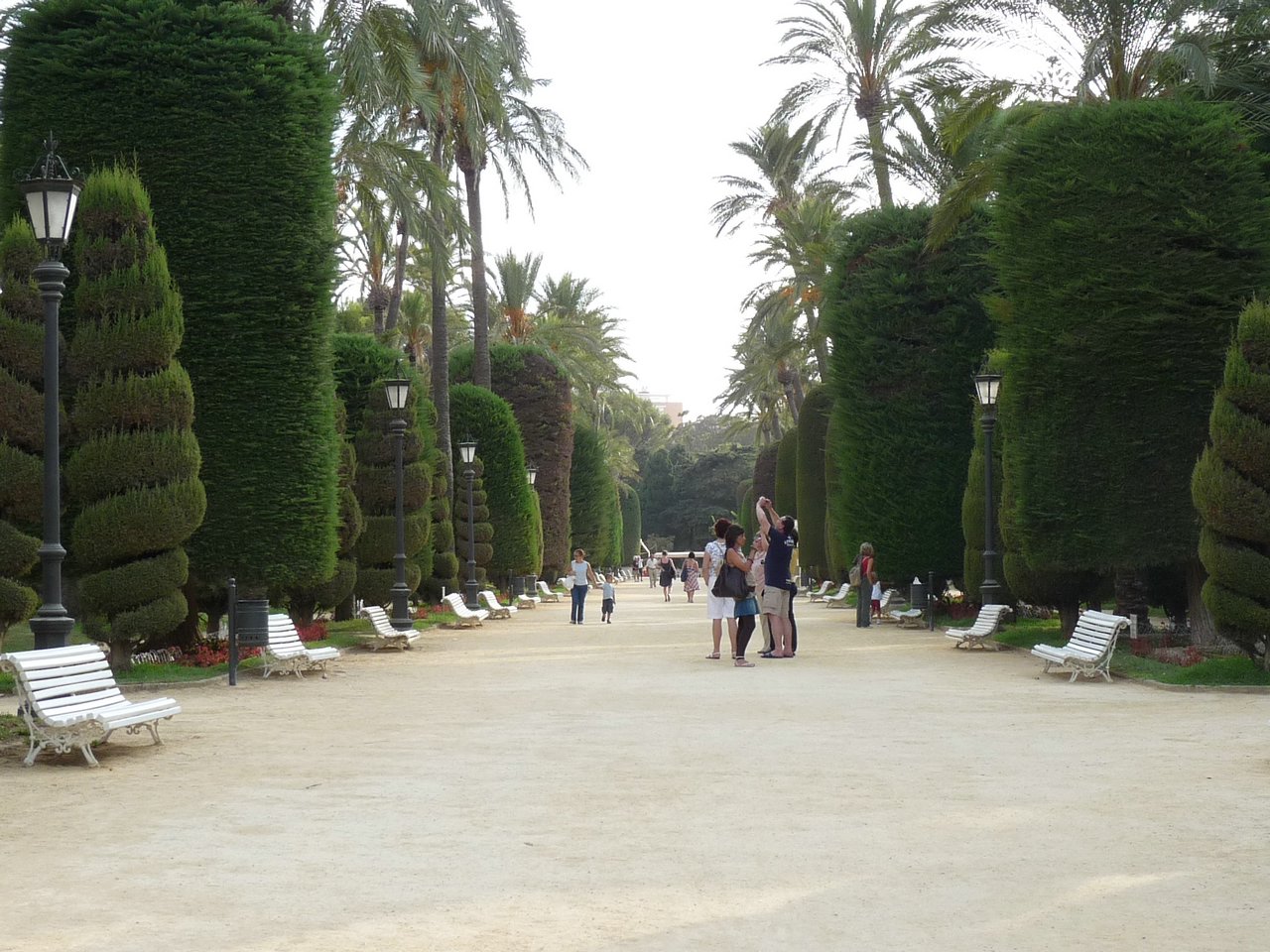 P1050067.JPG