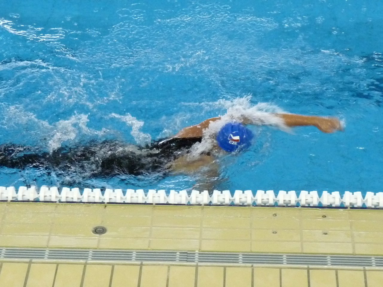 P1050138.JPG