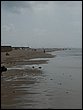 P1040975.JPG