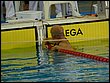 P1050033.JPG