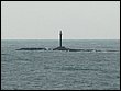 P1050063.JPG