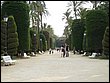 P1050067.JPG
