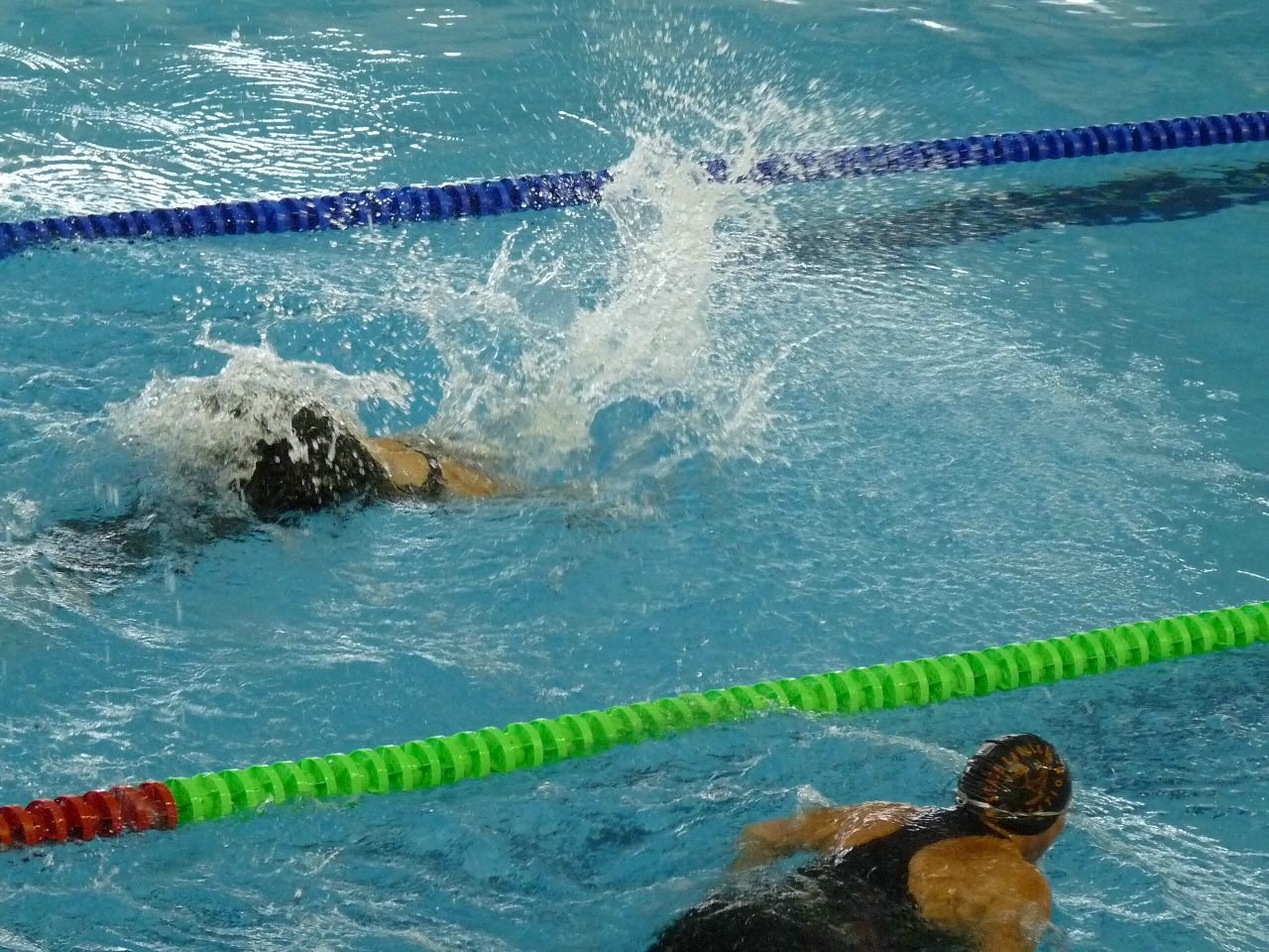 P1050159.JPG