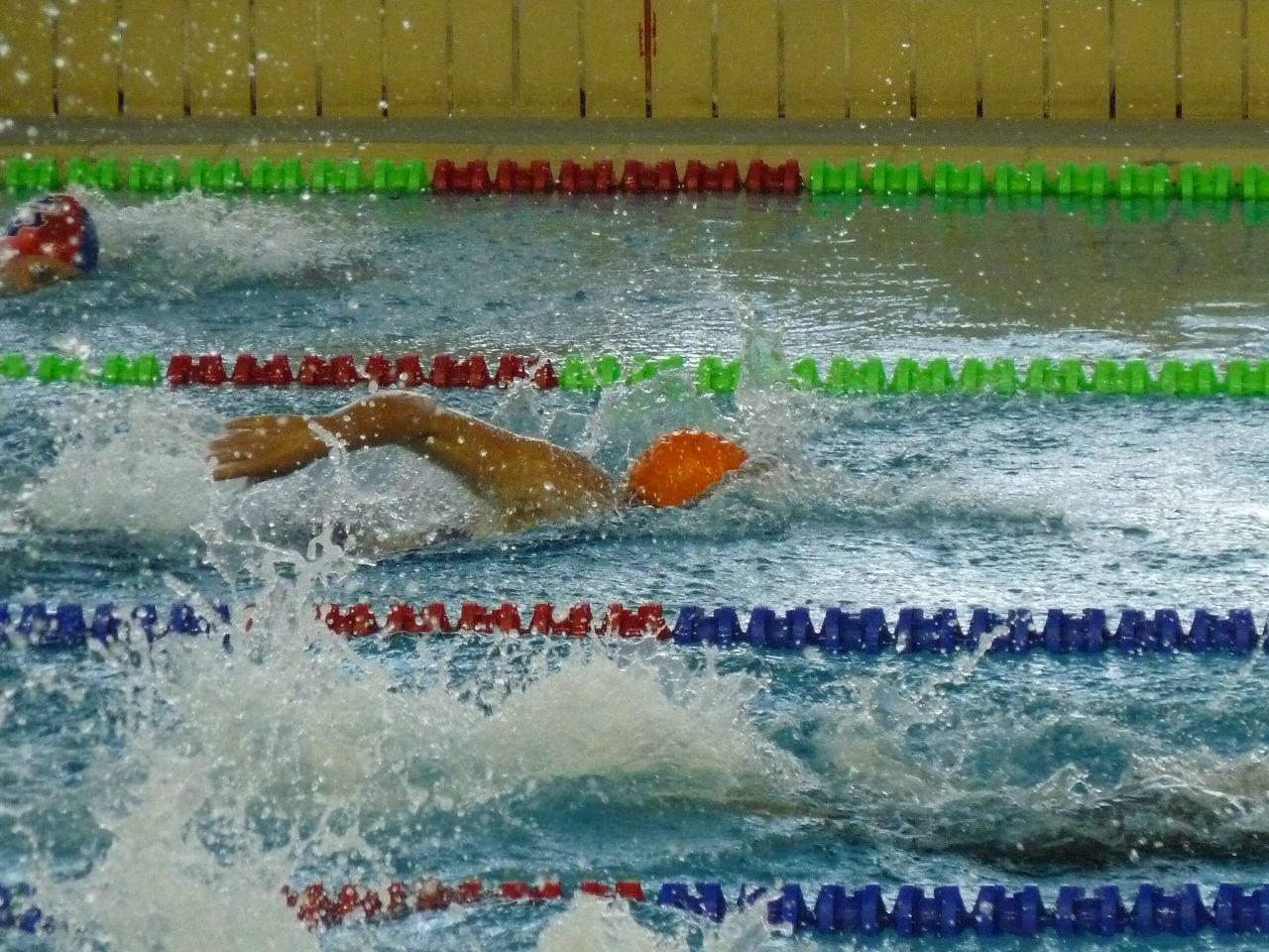 P1050225.JPG
