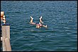 DSC_0869.JPG