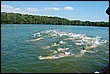 DSC_2316.JPG