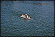 DSC_2333.JPG