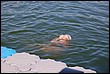 DSC_2373.JPG