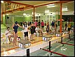 IMG_3396.jpg