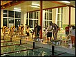 IMG_3415.jpg