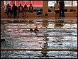 IMG_6335.JPG