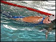 IMG_6338.JPG