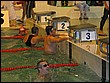 IMG_6385.JPG