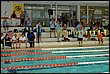 C_lipa09-021.jpg