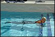 C_lipa09-060.jpg