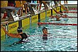C_lipa09-065.jpg