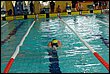 C_lipa09-118.jpg