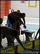 IMG_2098.JPG