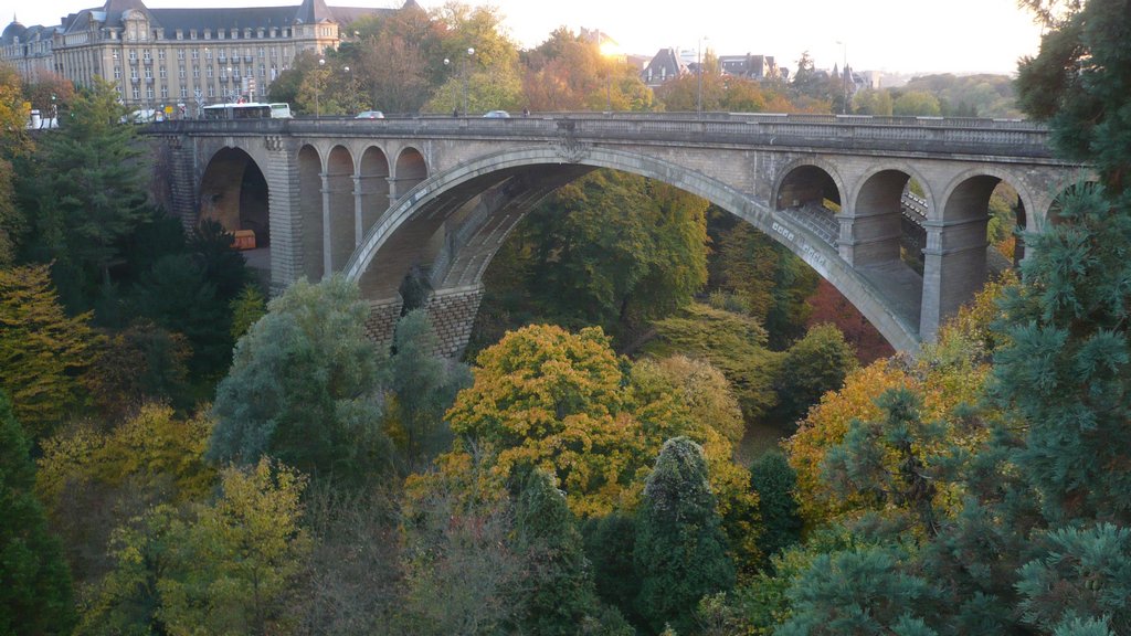P1030763.JPG