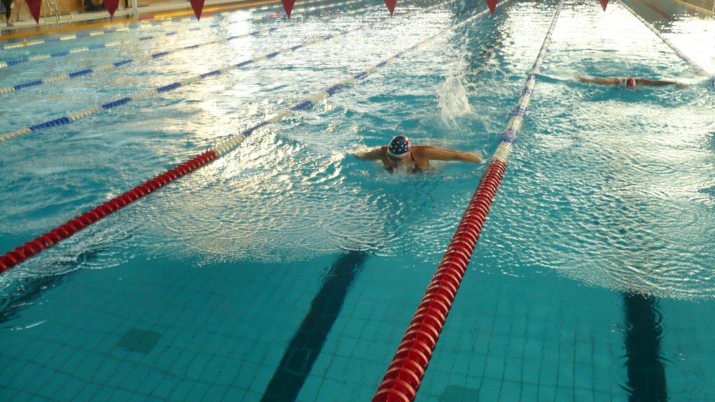 P1030798.JPG
