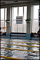 DSC_0746.JPG