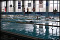 DSC_0296.JPG