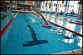 DSC_0343.JPG