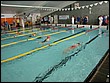 IMG_4886.JPG