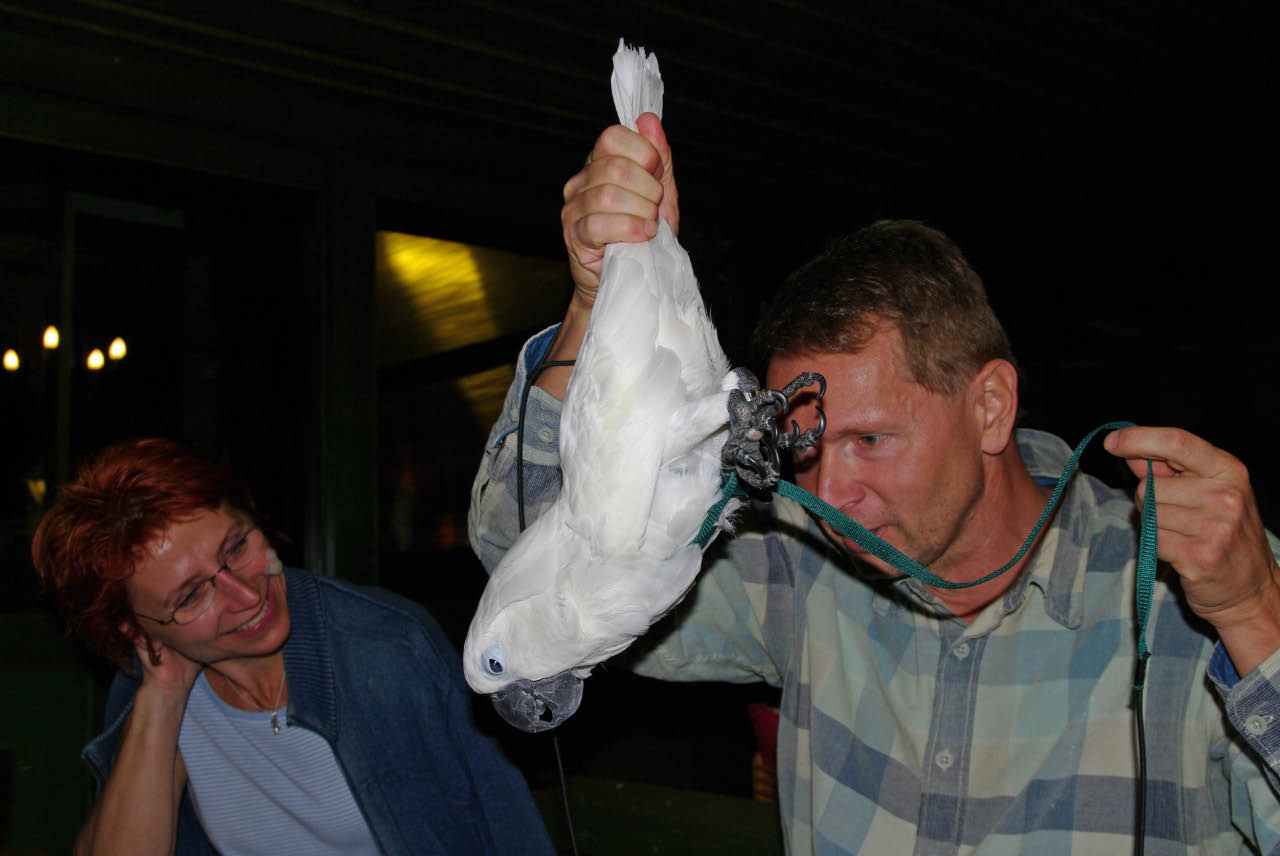 pipici_rijen09-19.jpg