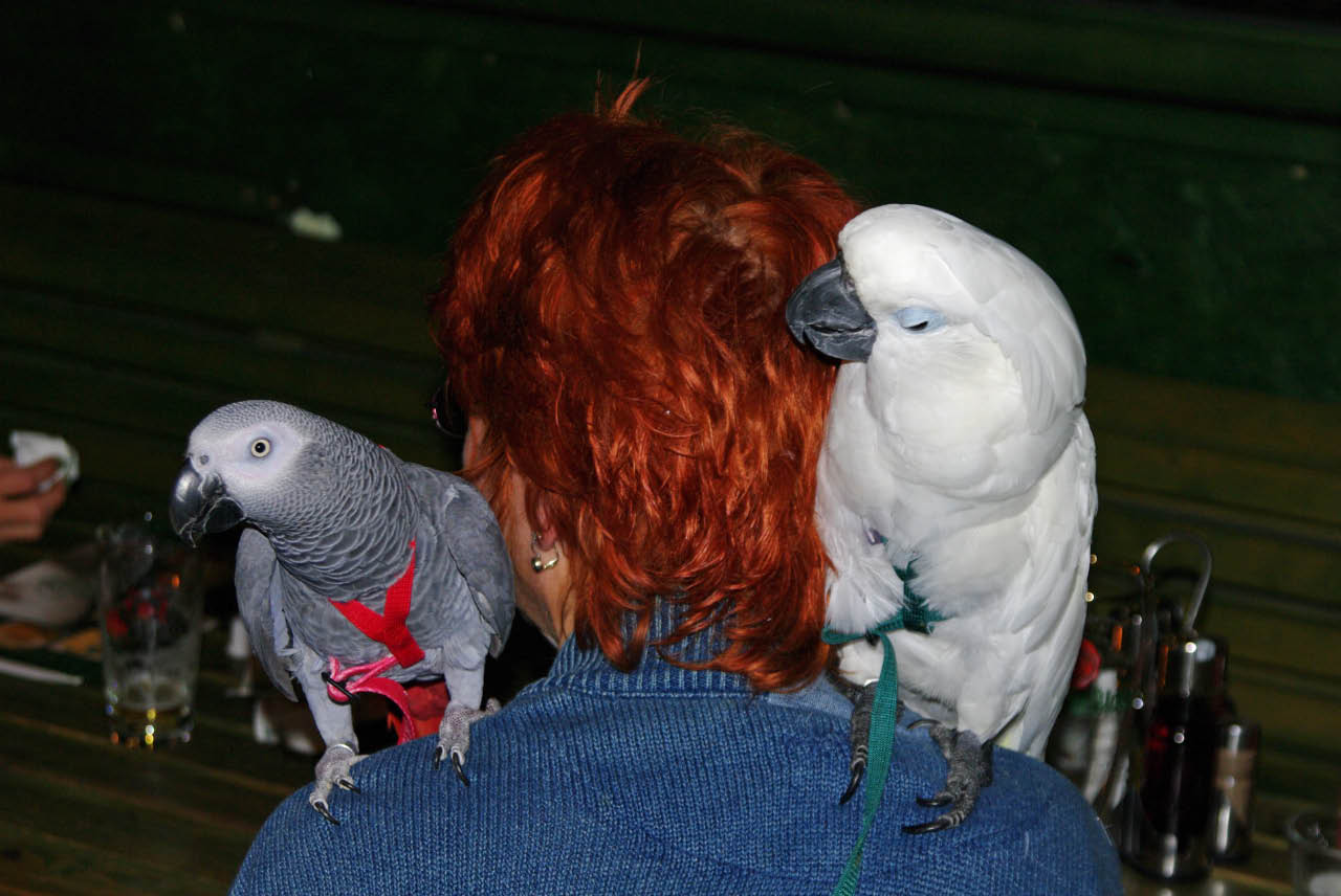 pipici_rijen09-22.jpg