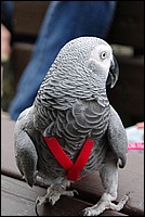 pipici_rijen09-04.jpg