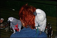 pipici_rijen09-22.jpg