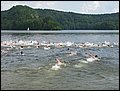 IMG_4977.JPG