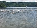 IMG_4979.JPG