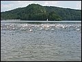IMG_4980.JPG