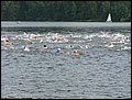 IMG_4981.JPG