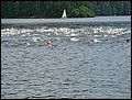 IMG_4982.JPG