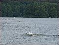 IMG_4986.JPG