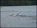 IMG_4987.JPG