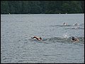 IMG_4994.JPG