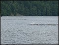IMG_4995.JPG