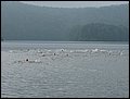 IMG_5075.JPG