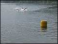 IMG_5089.JPG