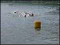 IMG_5090.JPG