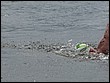 IMG_0088.JPG