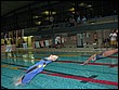 IMG_6098.JPG